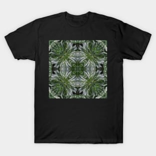 Stocksom Artemisia 3 T-Shirt